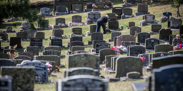 Over the next 30 years Auckland needed 30,000 to 60,000 burial plots. Photo / Jason Dorday