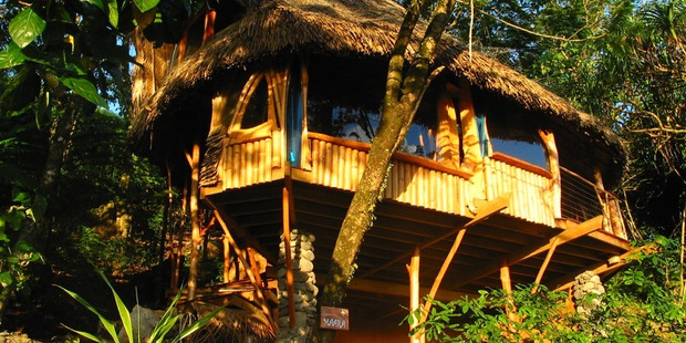 The lush gardens and sea views at Vanira Resort mean it is amazing value for money.
