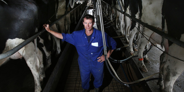 Dairy farmer Andrew McLeod at his farm in Welcome Bay.