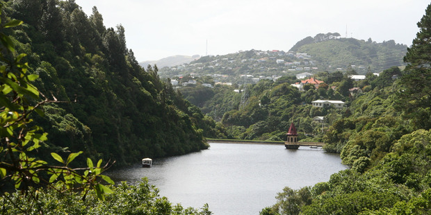Wildlife sanctuary Zealandia could soon become controlled by the Wellington City Council. Photo / Mark Taylor