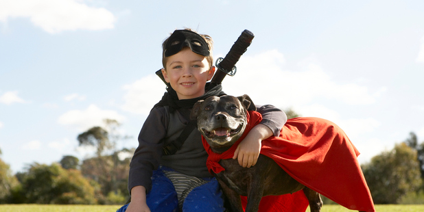 Studies show that having a pet around the house will help with the development of your child's emotional, cognitive, and social development. Photo / Thinkstock