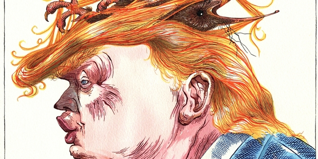 Illustration / Anna Crichton