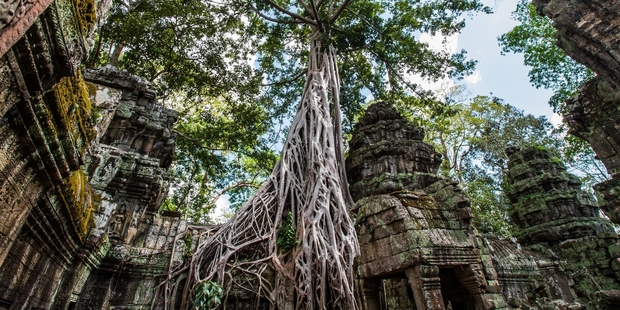 Cambodia's Ta Prohm temple is almost swallowed by the jungle. Photo / 123RF