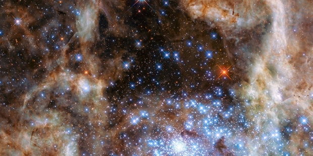 The Hubble Space Telescope has captured the brilliance of R136, a young star cluster in 30 Doradus. Photo / Nasa