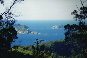 View from Raoul Island, Kermadec Islands: Meyer Islands (centre left), Dayrell Island (centre right), Egeria Rock (foreground), Chanter Island (in the trees on the right)