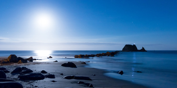 The whales is reportedly stranded at a beach in Mangawhai. Photo / Supplied via Jason Stitt