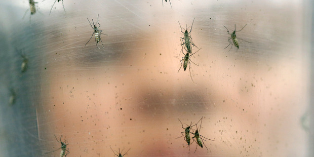 A member of New Zealand's Olympic team has pulled out of Rio 2016 fearing the Zika outbreak. Photo / AP