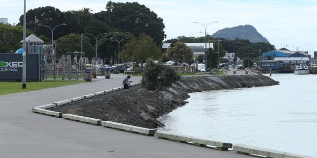 The Strand waterfront - new wharves and piers are planned. Photo/File