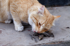 Image / iStock