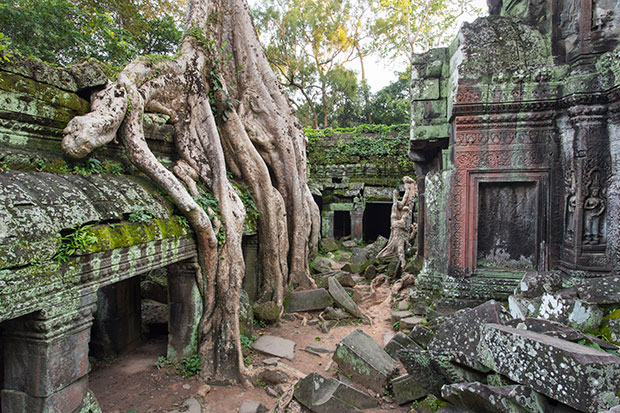 Ta Prohm Temple. Photo / Getty Images