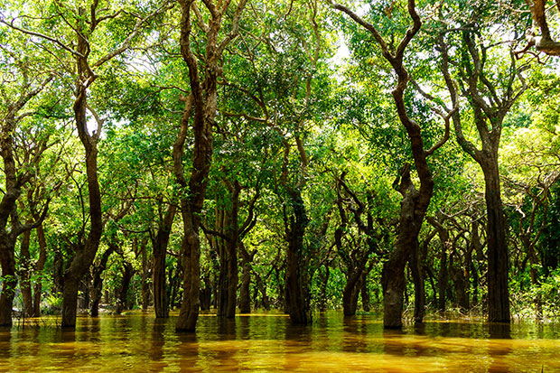 The Tonle Sap swells during the wet season to almost five times its size. Photo / Getty Images