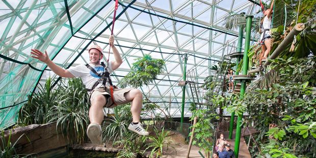 Zip through the rain forest at the Cairns Zoom and Wildlife Dome for a bird's-eye view of different habitats. Photo / Tourism and Events Queensland