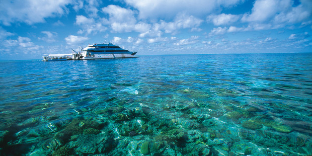 Get out on the reef aboard a Quicksilver Great Barrier Reef Tour. Photo / Tourism and Events Queensland