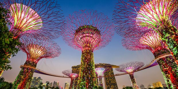Singapore’s Supertrees are a testament to the city’s energetic ambition. Photo / 123RF