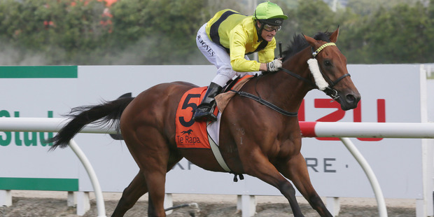Horse racing Watch This Space. Photo / Trish Dunell