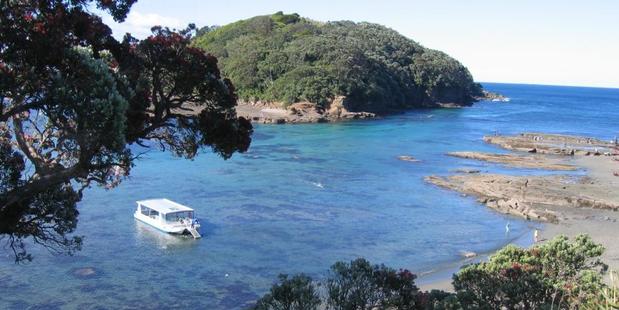 Goat Island Marine Reserve.