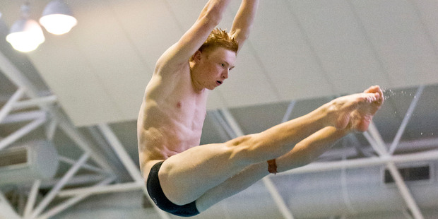 Springboard diver Liam Stone competed for New Zealand at the Commonwealth Games. Photo / Greg Bowker