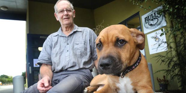 Dave Angove with dog Precious. Photo / Bevan Conley