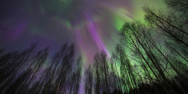 Madeleine de Young is obsessed with the idea of travelling to Finland. Photo / iStock