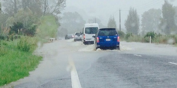 These photos were taken 2km out of Whitianga in the Coromandel, south towards Tairua. Photo / Clive Yeoman