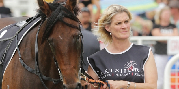 Highly regarded horsewoman Pam Gerard brings a ton of experience to her new role. Picture / Trish Dunell