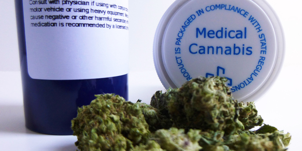 The push to legalise medical marijuana continues to build, as the Government this week weighed up whether to soften rules on minor drug offences. Photo / Getty Images