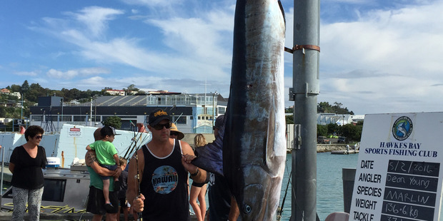 A fisherman is still waiting for his prize after he reeled in a massive marlin
