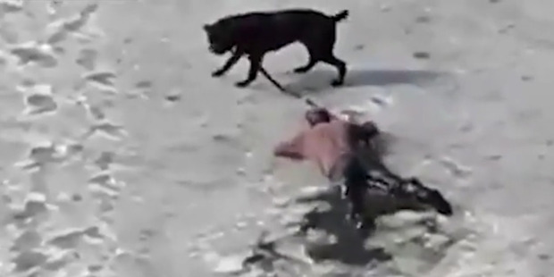 The pair fell through the ice of a frozen Russian lake. Photo / Supplied via Live Leak