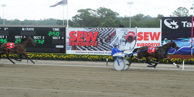 That is the strange path Fight For Glory has taken to tonight's $100,000 Breeders Stakes at Addington, the richest of the group races at a wonderful premier meeting. Photo / NSW Harness Racing Club