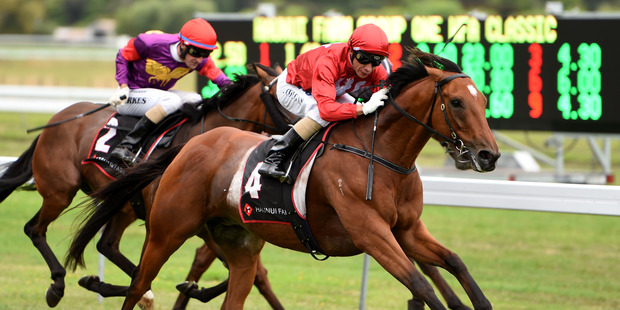 Vinnie Colgan aboard Volkstok'n'barrell winning at Otaki.