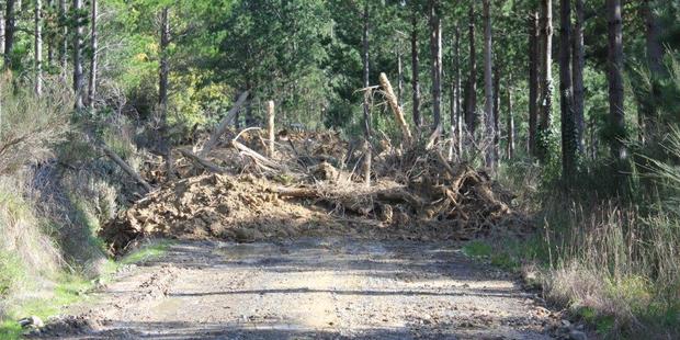 A blocked forestry road in Ngaumu Forest in an image supplied to the Times-Age by a group seeking better access. PHOTO/FILE