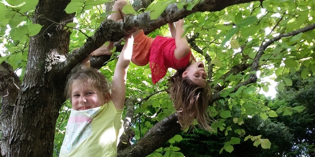 Principals could be liable for accidents under new legislation. Photo / Tiffany North