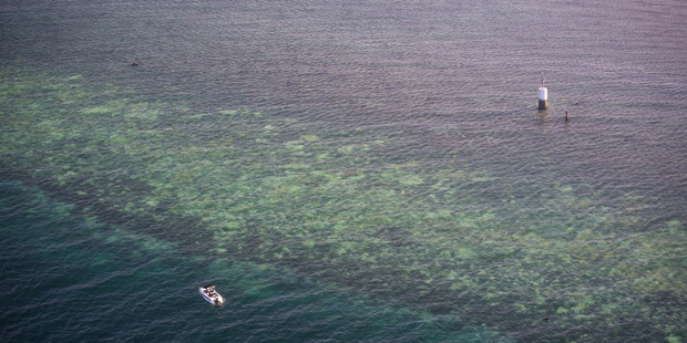 Bleaching of the Great Barrier Reef observed by aerial survey. Photo / Terry Hughes, ARC Centre of Excellence for Coral Reef Studies