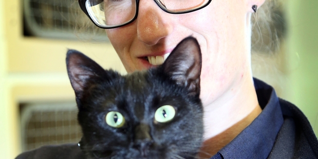 ON THE MEND: Winnie will spend at least eight weeks on cage rest while she recovers from her surgery and is cared for by SPCA staff, including Francie Flis (pictured).PHOTO/ STUART MUNRO