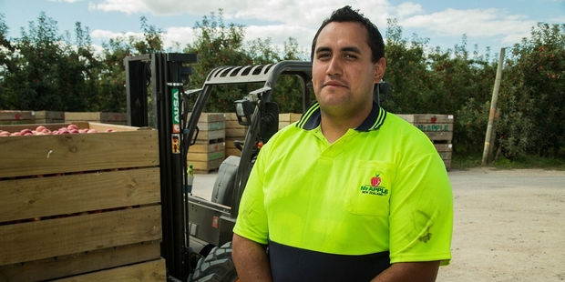 GOOD WORK: Tennyson Kemp started stacking apple boxes, but is now a forklift driver for Mr Apple.PHOTO/SUPPLIED