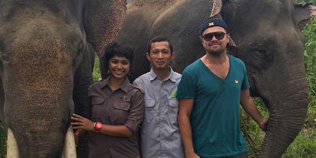 Leonardo Dicaprio in Indonesia. The UN climate envoy has spoken out against destruction of rainforests. Photo / Instagram