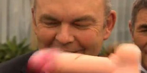 Government minister Steven Joyce is hit in the face by a pink dildo thrown at him in Waitangi. Photo / The Spinoff