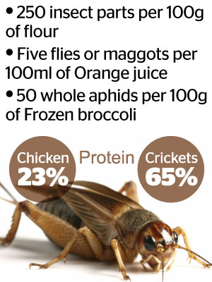 Did you know you ingest a portion of insects with certain foods? Image / NZ Herald