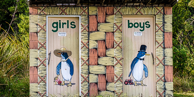 Golden Bay's penguin themed toilets. Photo / Supplied