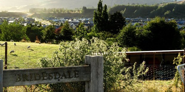 A 360sq m section at the Bridesdale Farm subdivision - a special housing area aimed at addressing the resort's housing affordability problem - is advertised for $755,000. Photo / Otago Daily Times