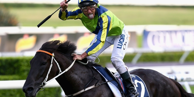 Damien Oliver celebrates winning the A$4 million Queen Elizabeth Stakes on Lucia Valentina. Photo / Getty Images