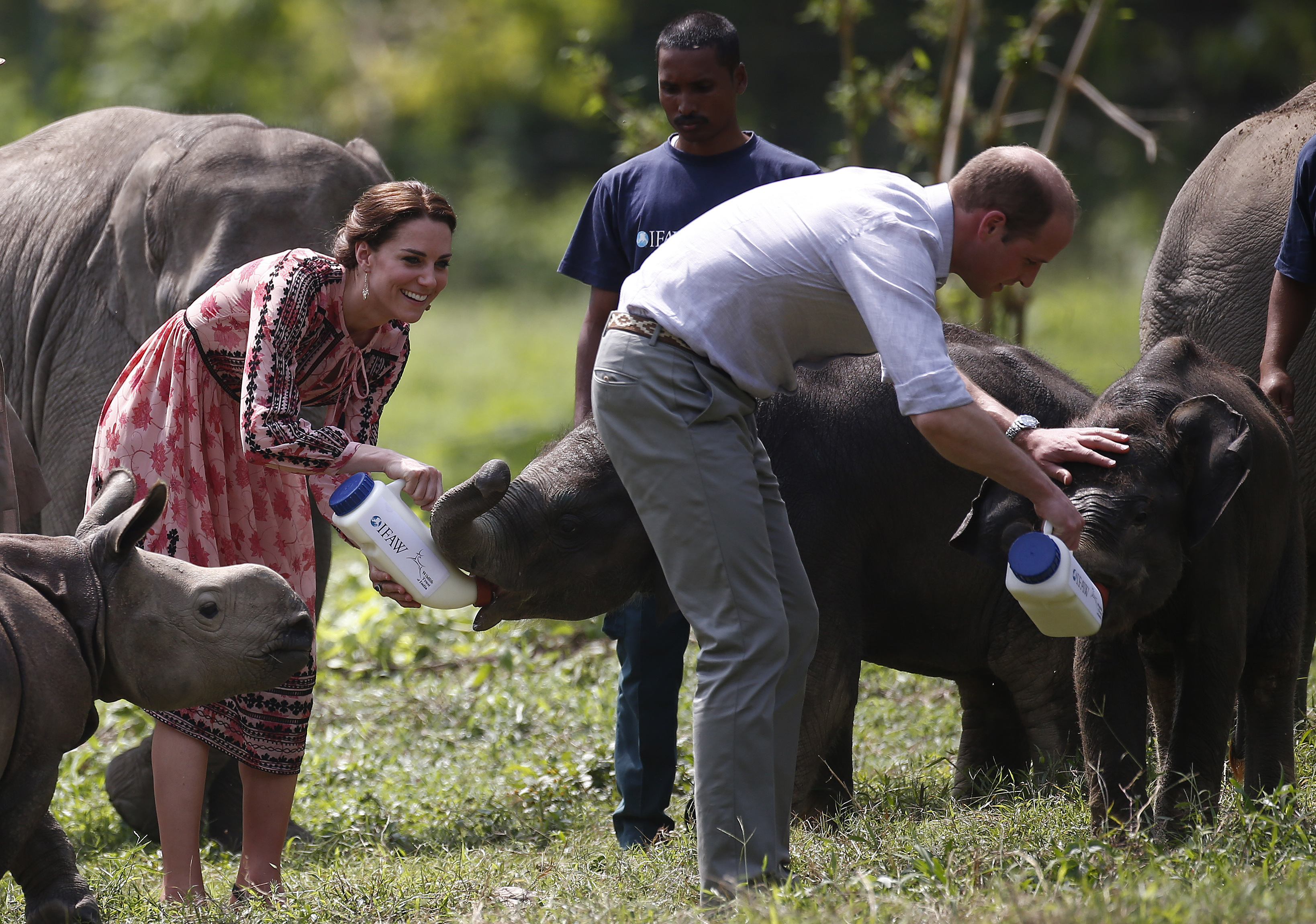 William "would have stayed all day" if he could. Photo / Getty