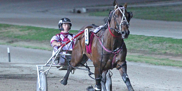 Forgotten Horse of the Year Christen Me finished last in his trial yesterday. Picture / Stuart McCormick