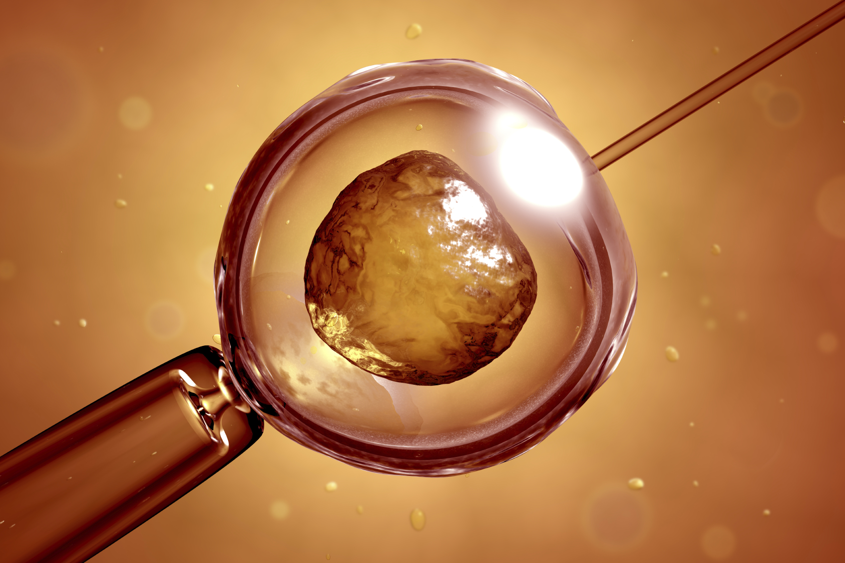 IVF is not an insurance policy, says professor Balen. Photo / iStock