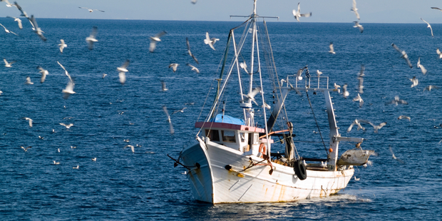 The fishing industry is going through a bad spell. Photo / iStock