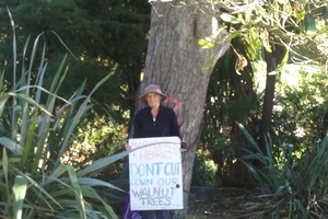 A woman has chained herself to one of many trees earmarked for removal in Havelock North this morning. Photo / Paul Taylor
