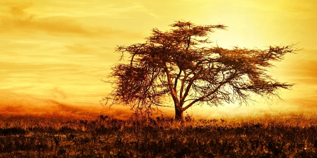 A beautiful Kenyan sunset. Photo / 123RF