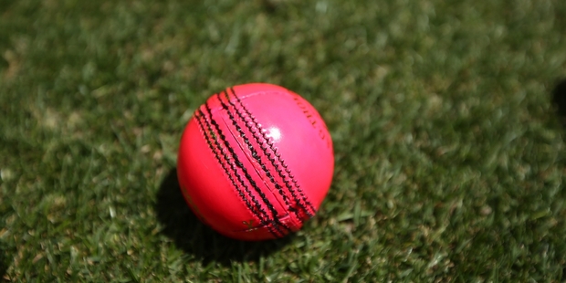 Cricket Australia hopes the Proteas will agree to a pink-ball test in the name of the fans. Photo / AP