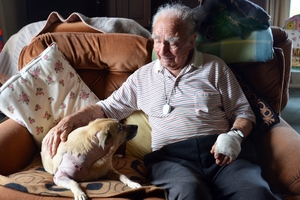 Dog attack victim Tom Morgan and his dog, Sandy.