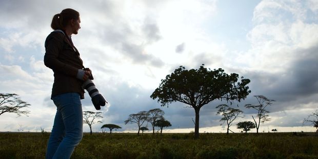 Kenya's Masai Mara is a photographer's dream. Photo / 123RF